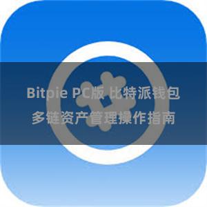 Bitpie PC版 比特派钱包多链资产管理操作指南