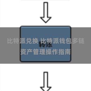 比特派兑换 比特派钱包多链资产管理操作指南