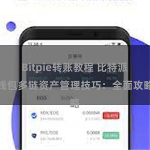 Bitpie转账教程 比特派钱包多链资产管理技巧：全面攻略