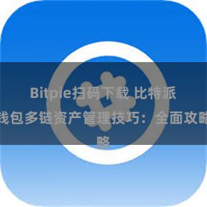 Bitpie扫码下载 比特派钱包多链资产管理技巧：全面攻略