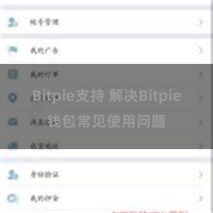 Bitpie支持 解决Bitpie钱包常见使用问题