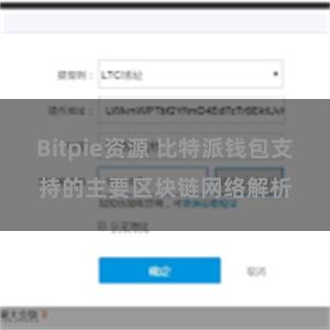 Bitpie资源 比特派钱包支持的主要区块链网络解析