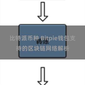 比特派币种 Bitpie钱包支持的区块链网络解析