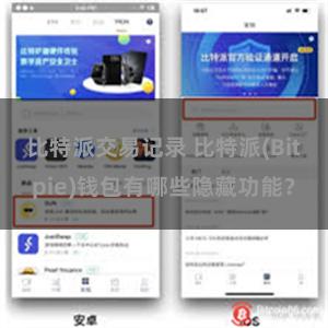 比特派交易记录 比特派(Bitpie)钱包有哪些隐藏功能？