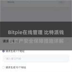 Bitpie在线管理 比特派钱包资产安全保障措施详解