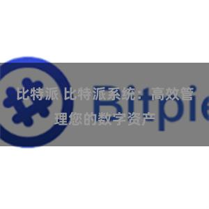 比特派 比特派系统：高效管理您的数字资产