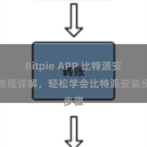 Bitpie APP 比特派安装教程详解，轻松学会比特派安装步骤