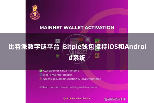 比特派数字链平台 Bitpie钱包撑持iOS和Android系统