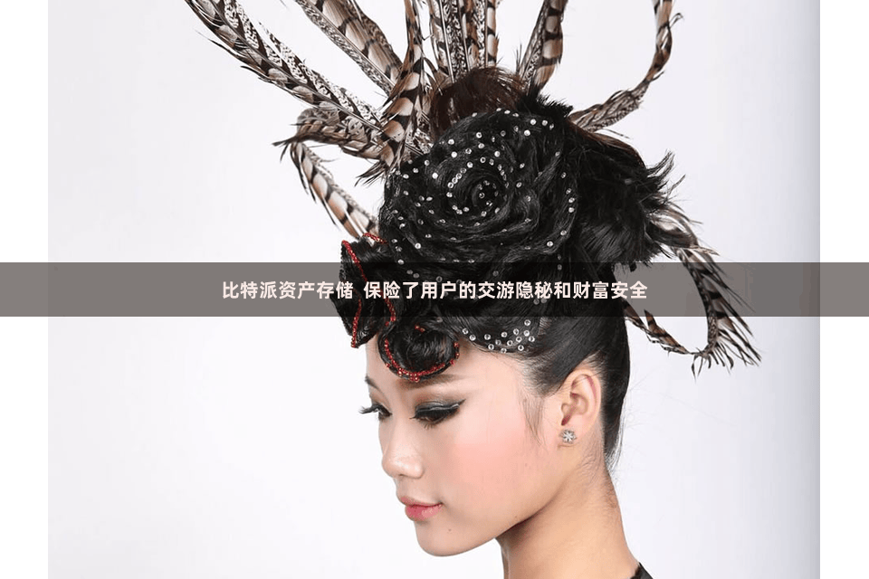 比特派资产存储  保险了用户的交游隐秘和财富安全