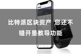 比特派区块资产  您还不错开垦教导功能