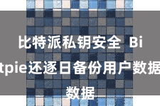 比特派私钥安全  Bitpie还逐日备份用户数据