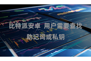 比特派安卓  用户需要查找助记词或私钥