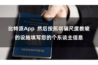 比特派App  然后按照哄骗尺度教唆的设施填写您的个东谈主信息